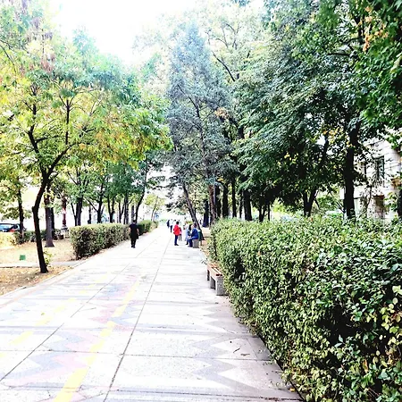 Next 2parliament - Tranquil Unirii - Airy & Comfy With Parking アパート